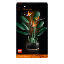 Paradijsvogelplant