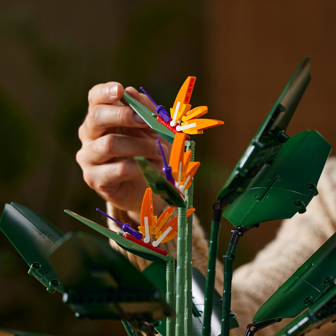 LEGO_10289_INT_5